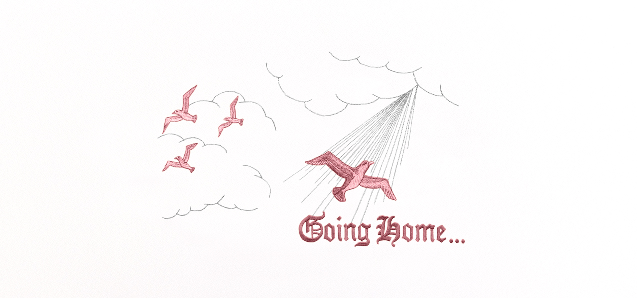Going Home Pink White Faux